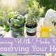 Gardening with Herbs 101: Preserving Your Herbs