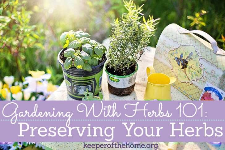 Gardening with Herbs 101: Preserving Your Herbs