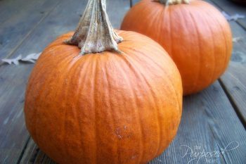 Pumpkin Pie Casserole: An Autumn Comfort Food
