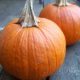 Pumpkin Pie Casserole: An Autumn Comfort Food