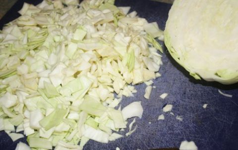 Plan It- Don't Panic Meal Planning Challenge (And Recipe for Okonomiyaki) 6