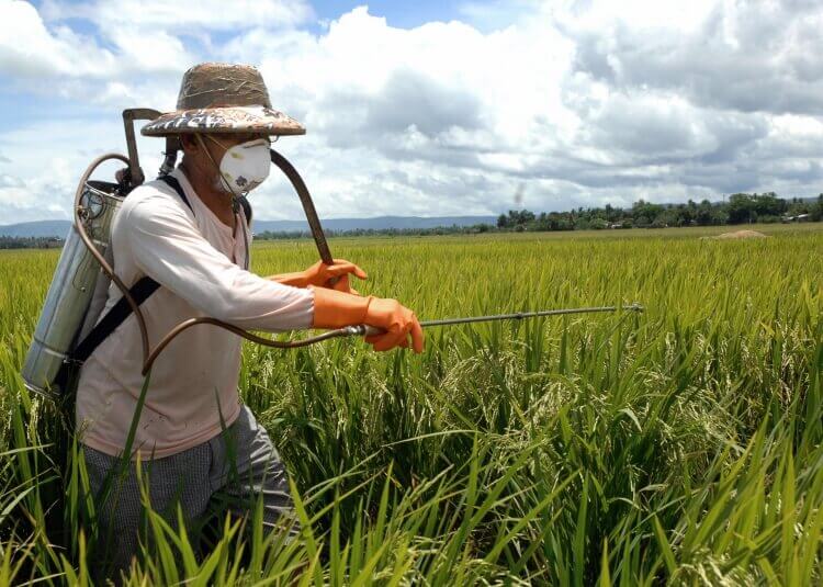 Farmers-and-Pesticides