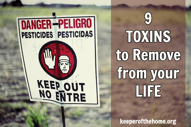 9 Toxins to Remove from your Life 1