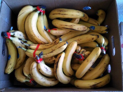 web 25 lbs discount bananas