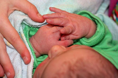 closeup kepler newborn hands