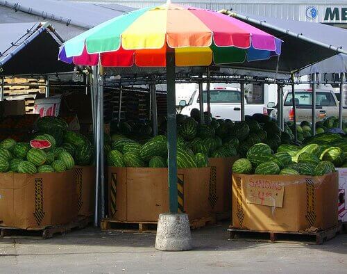 Having Vegetables When You Can’t Grow Your Own