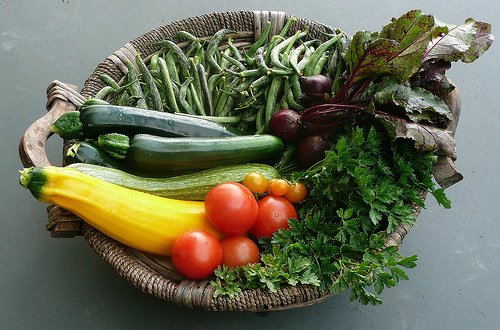 Vegetable basket