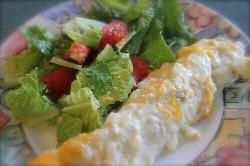 Chicken Enchiladas and Salad in Thirty Minutes Flat