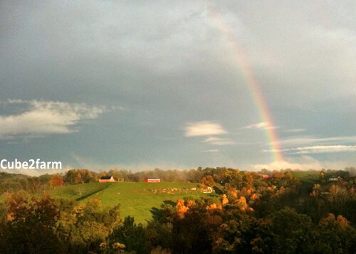 Rainbow Over Valley copy