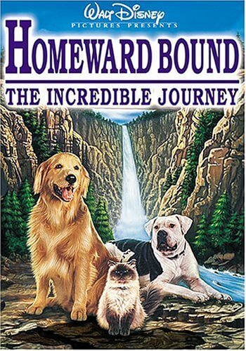 homeward bound the incredible journey