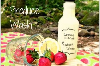 Homemade Lemon Citrus Produce Wash {Natural, Fast, & Easy}