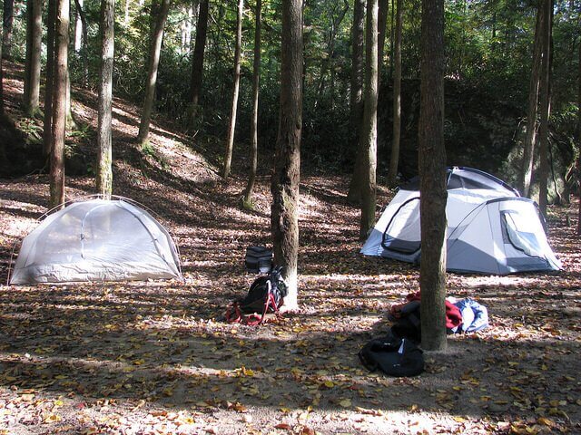 HealthIER Camping Food: 7 Tips for Taking Real Food With You