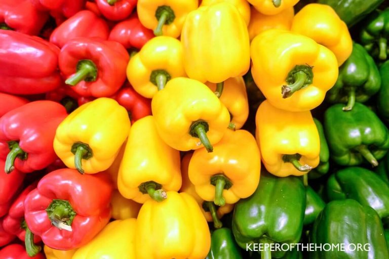 The Easy Guide for What to Do with Bell Peppers