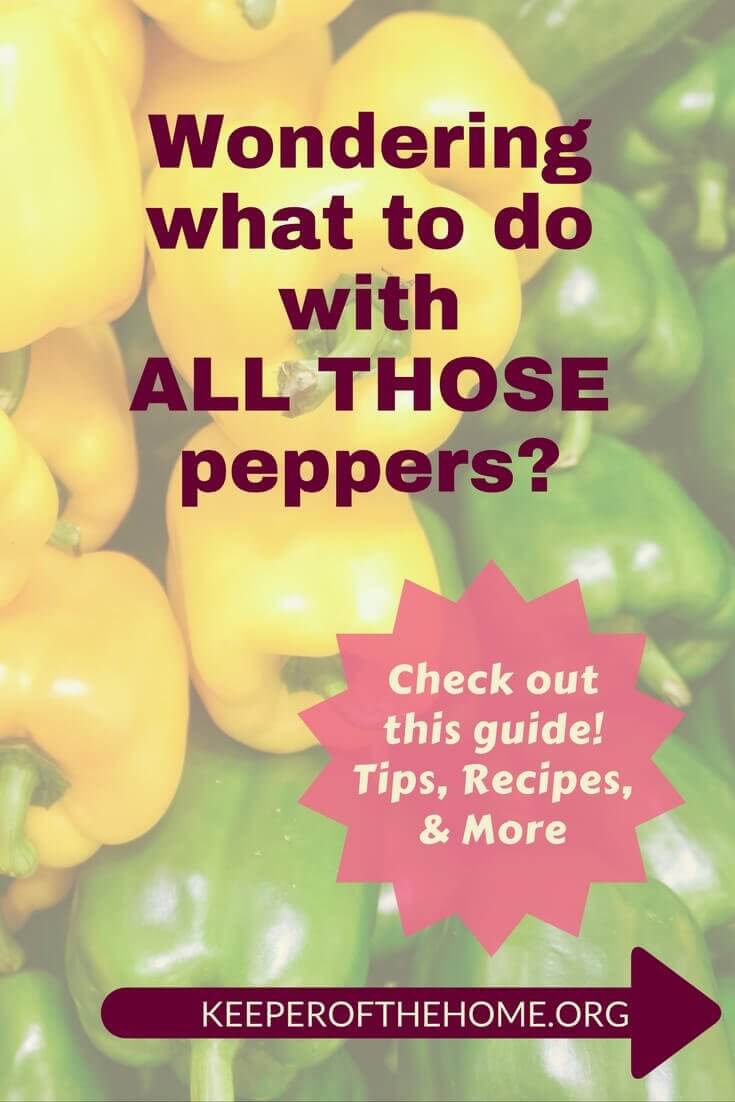 Do you ever wonder what to do with bell peppers when they're piled around you? Or are you looking for something new to try? Our guide has easy tips, recipes, and ways to use them...see what you think!