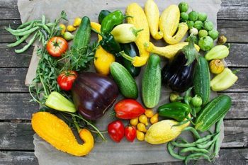 5 Frugal Ways to Stock Up on Chemical Free Fruits and Vegetables to Preserve 5