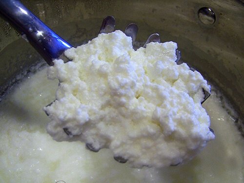 homemade ricotta curds