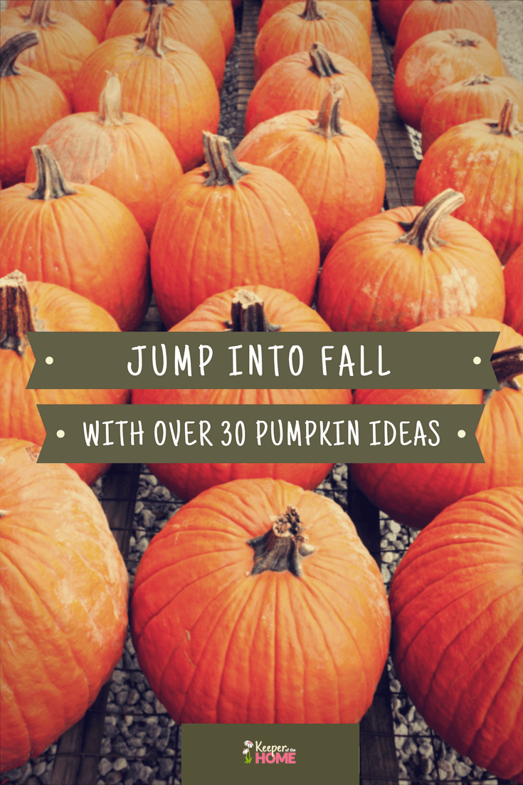 30 Pumpkin Ideas