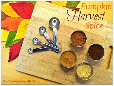 Pumpkin Harvest Spice