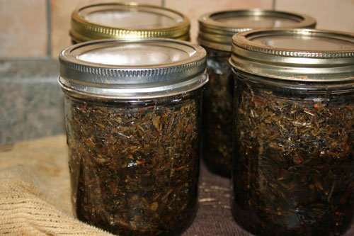 finished jars cooling on counter tincture