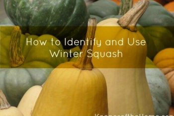 How to Identify and Use Winter Squash 1