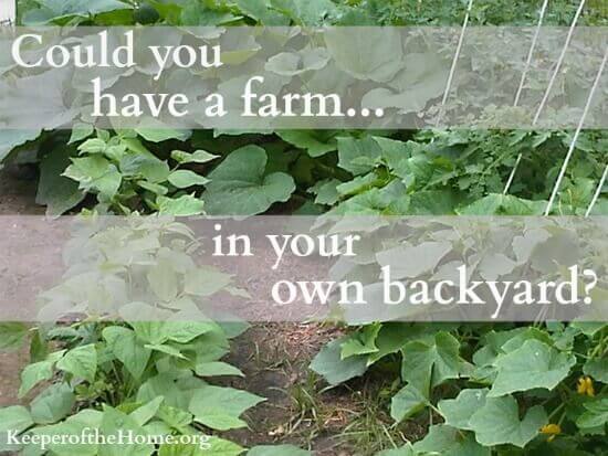 Could you have a farm… in your own backyard?