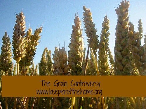 The Grain Controversy: Should We Eat Them or Not?