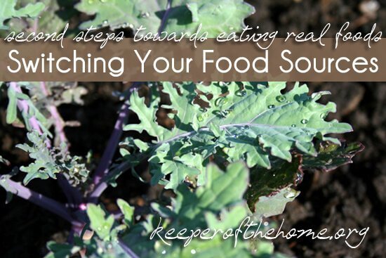 Second Steps Towards Eating Real Foods: Switching Your Food Sources 6