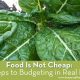 Food Is Not Cheap: 4 Steps to Budgeting in Real Food