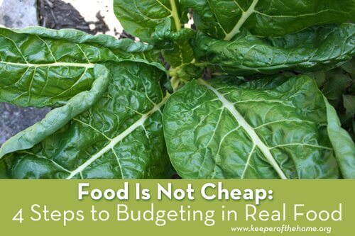 Food Is Not Cheap: 4 Steps to Budgeting in Real Food