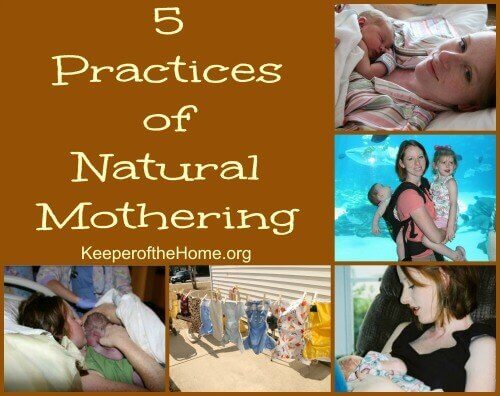 5 Practices of Natural Mothering
