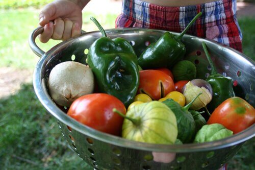 Teach Your Child to Love Vegetables: Gardening with Children