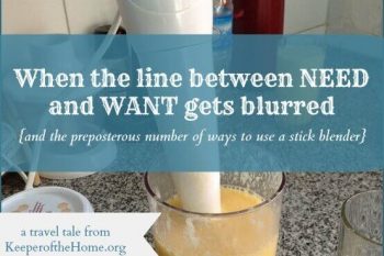 When the Line Between Need and Want Gets Blurred (and the preposterous numbers of ways to use a stick blender) 1
