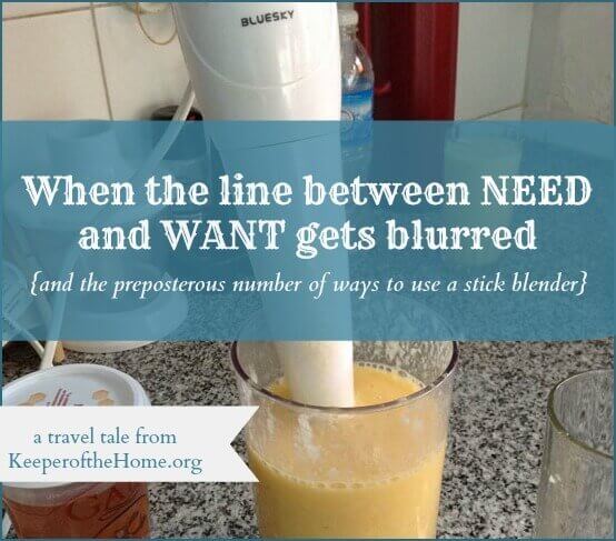 When the Line Between Need and Want Gets Blurred (and the preposterous numbers of ways to use a stick blender)