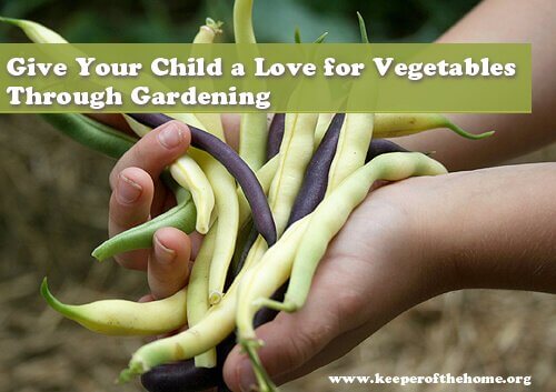 Childs hands holding vegetables