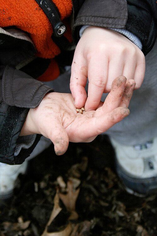 zekie hands