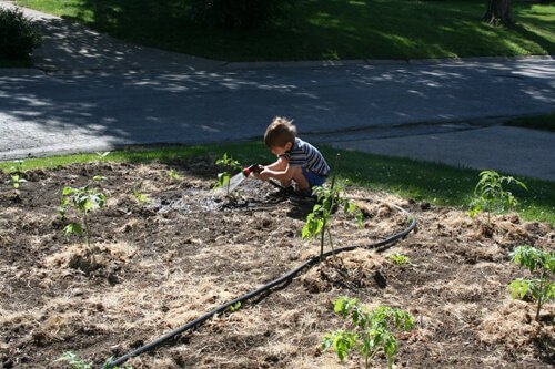 zekie watering