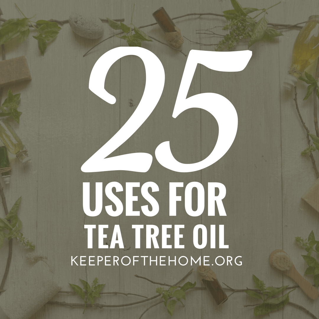 Looking for uses for tea tree oil? Here are 25 of my favorites.