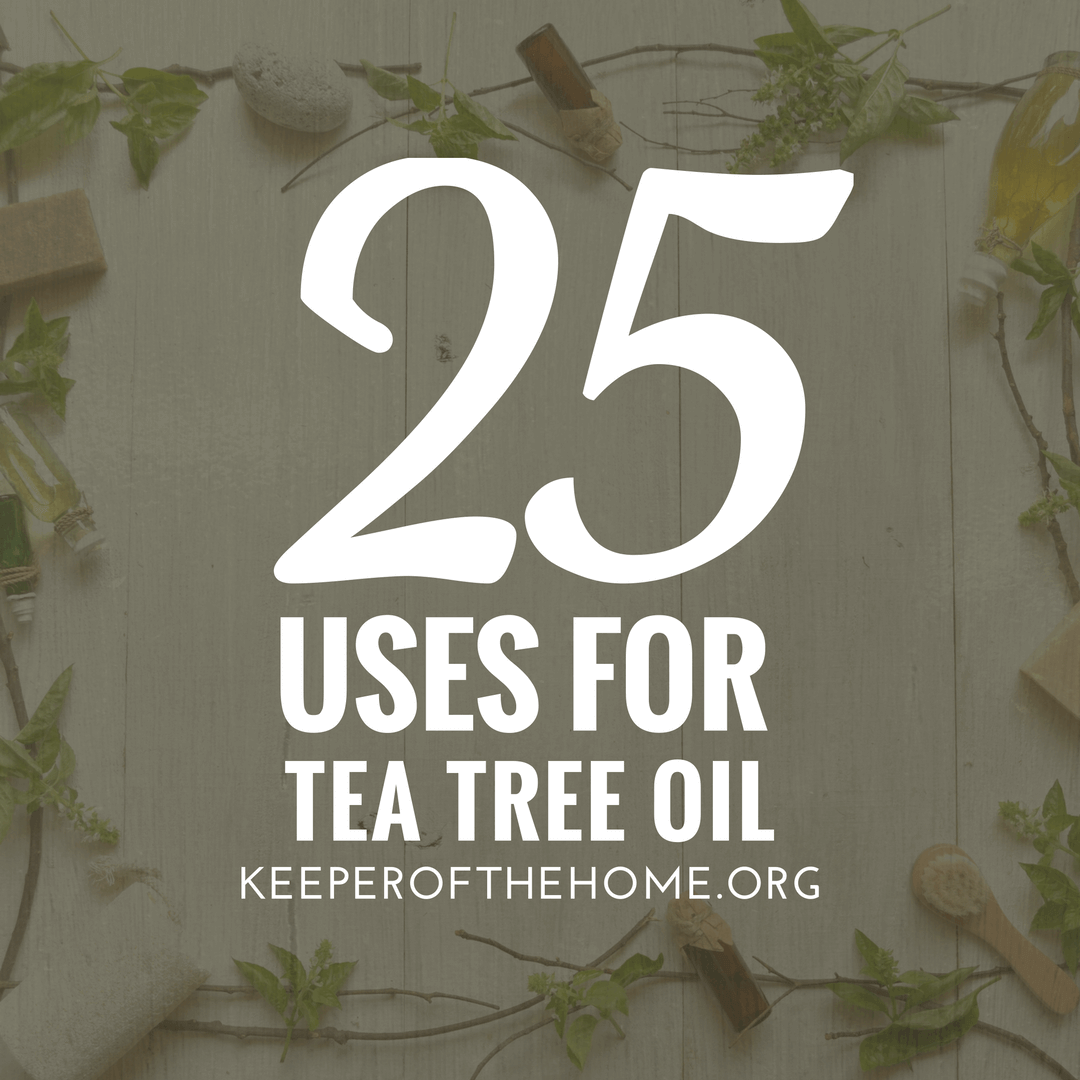 25 Uses for Tea Tree Oil | Keeper of the Home