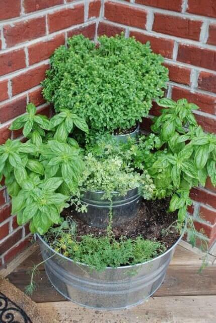 herb garden 2