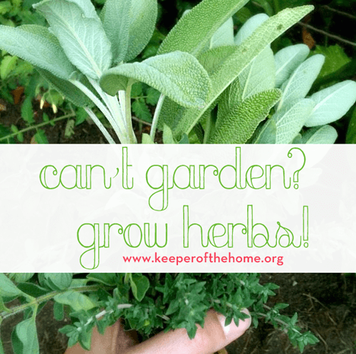Can’t Garden?  Grow Herbs!