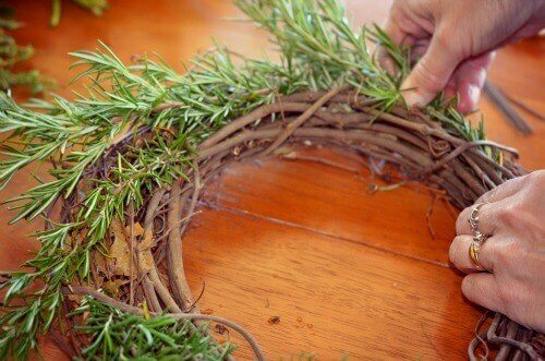 rosemary in wreath