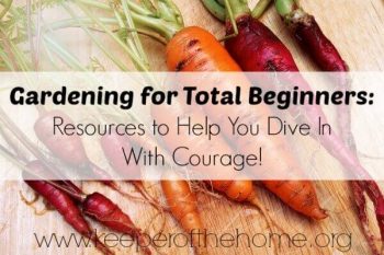 Gardening Tips for Beginners: Resources to Help You Dive Into Gardening With Courage!