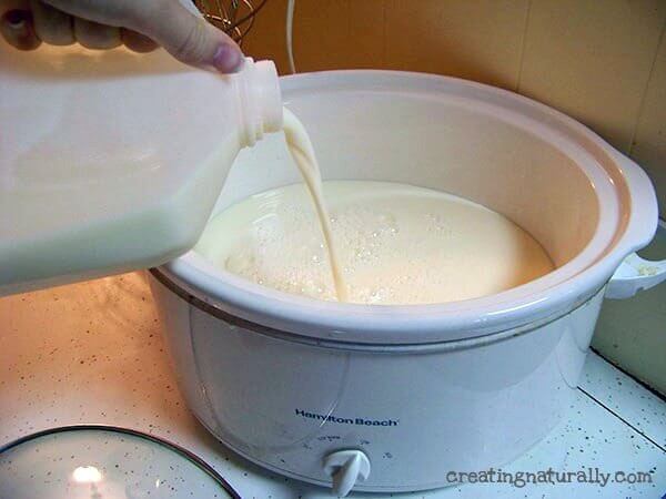 Slow Cooker Yogurt