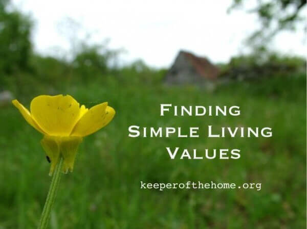 Finding Simple Living Values