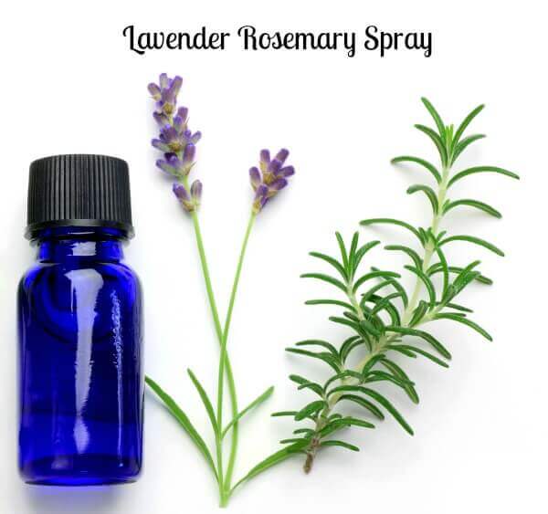 Lavender Rosemary Spray