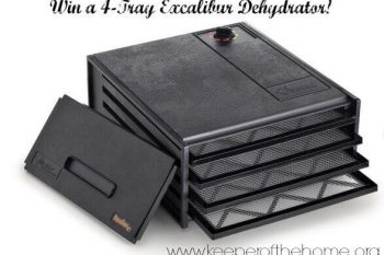 (Summer Giveaway Week 2013) Win a 4-Tray Excalibur Dehydrator from Cultures for Health ($130 value)