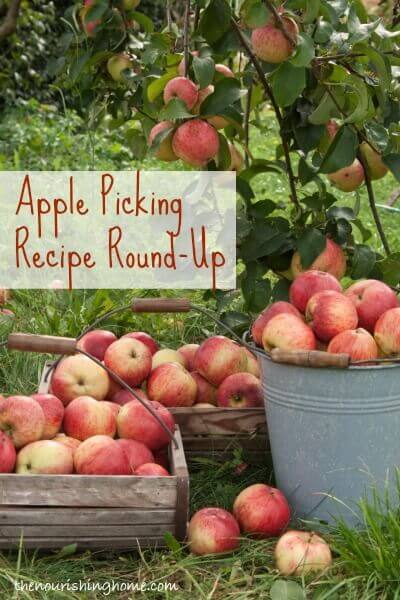 Did you go apple picking, or have a large surplus of apples this year? Here's a round up of real food recipes to use up all those awesome apples!