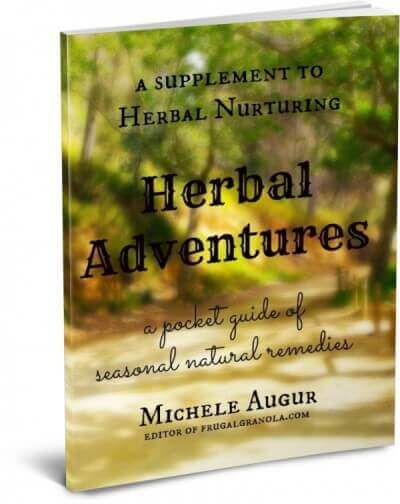 Natural Remedies for Travel and Adventures