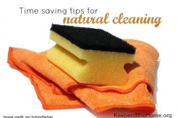 Time Saving Tips for Natural Cleaning 1