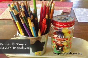 One Small Change: Frugal and Simple Behavior Incentives 2
